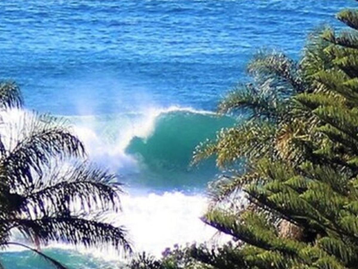 Ocean View Rewards Longer -over 18s Only (adults Only) Motel Mollymook